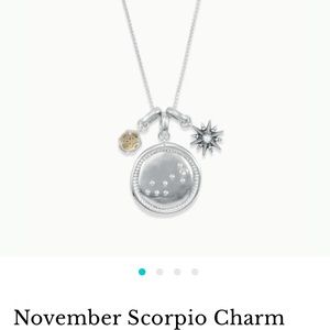 November Scorpio Charm Necklace Set in Silver